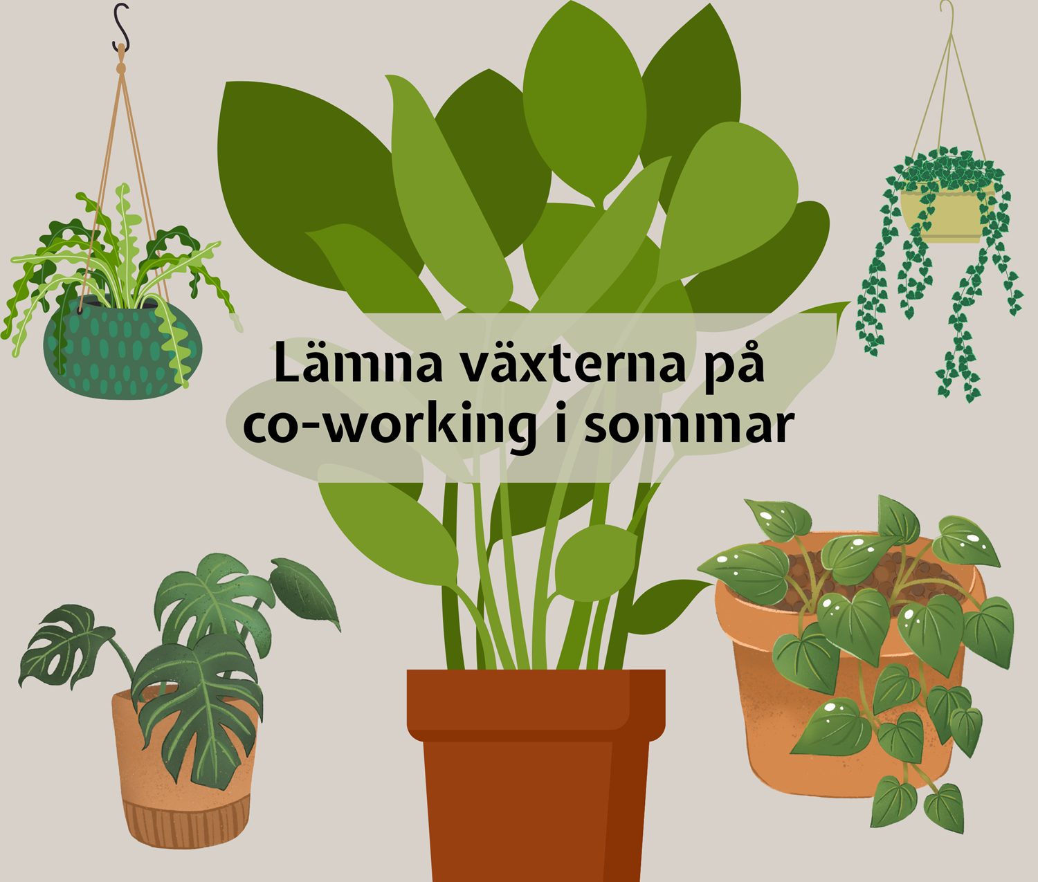 Lämna växterna på co-working i sommar!